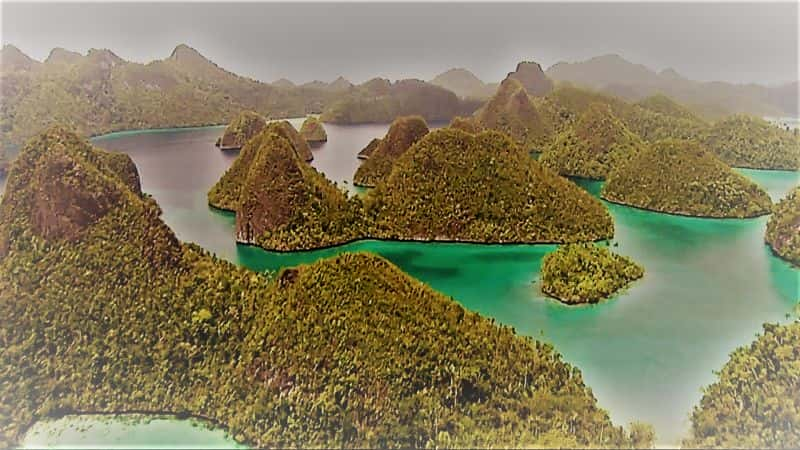 ¼ƬȻΰɺϵ1 Natures Greatest Secret the Coral Triangle Series 11080P-Ļ/Ļ