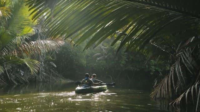 ¼ƬצϬţһս Last Stand of the Javan Rhino1080Pȫ1-Ļ/Ļ