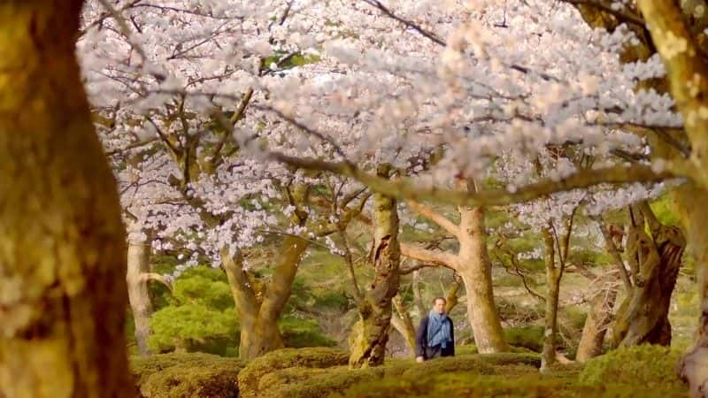 ¼Ƭձ԰ Japanese GardensĻ/Ļ