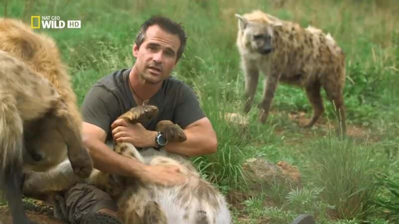 ¼Ƭġɭʨ Kevin Richardson: The Lion WhispererĻ/Ļ