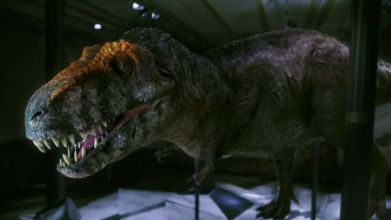 ¼Ƭıʣİ The Nature of Things: The Real T. Rex1080P-Ļ/Ļ