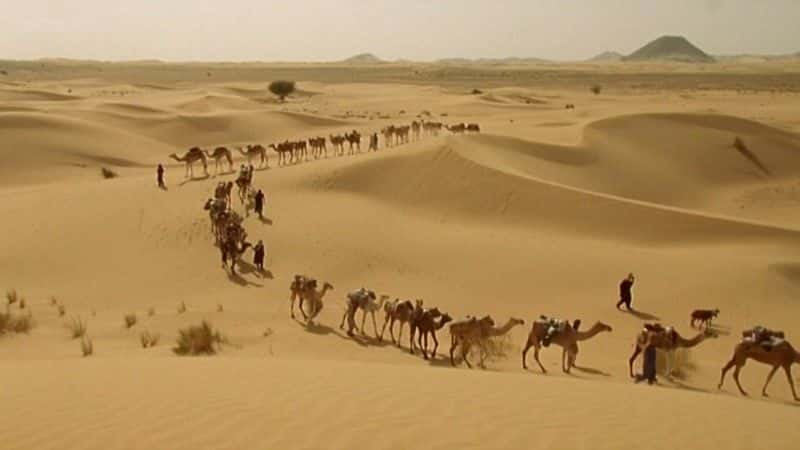 纪录片《廷巴克图失落的图书馆 (BBC) The Lost Libraries of Timbuktu (BBC)》[无字][BT][1080P][DVD]双画质资源下载