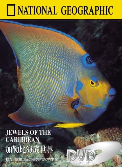 ¼ƬձȺıʯ Jewels of the Caribbean Seaȫ1-Ļ/Ļ