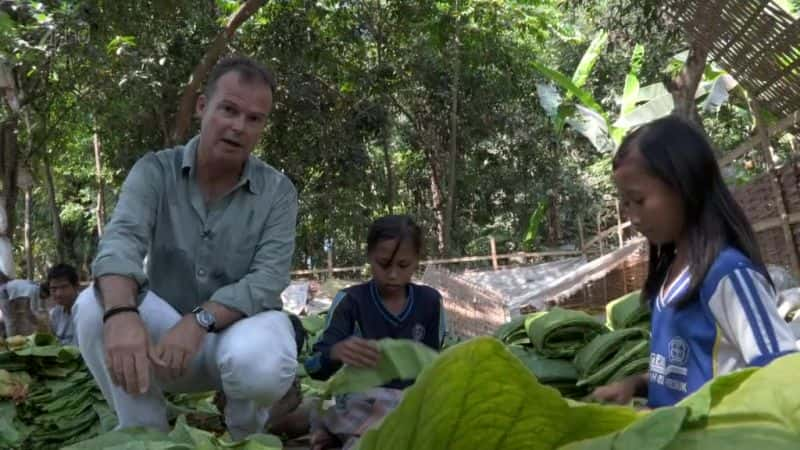 ¼Ƭӡǵ̲ݶͯ Indonesia's Tobacco Children1080P-Ļ/Ļ