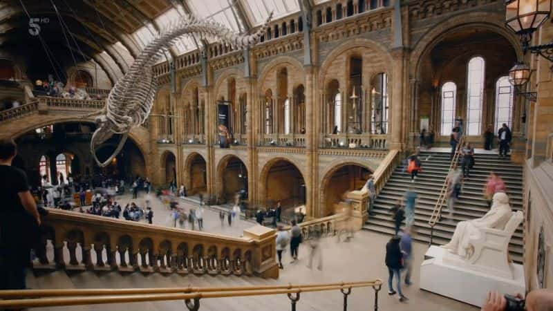 ¼ƬȻʷ漣磺ϵ 1  1  Natural History Museum World of Wonder: Series 1 Part 11080P-Ļ/Ļ