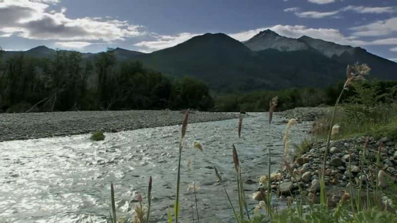 ¼Ƭ밬¡˹һ𱻷ϵ 3 Marooned with Ed Stafford : Series 3Ļ/Ļ