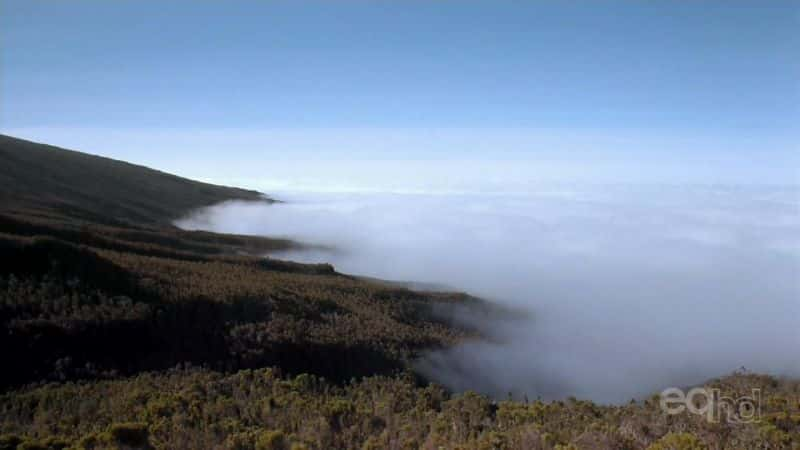 ¼Ƭɽݼ Kilimanjaro to the Roof of AfricaĻ/Ļ