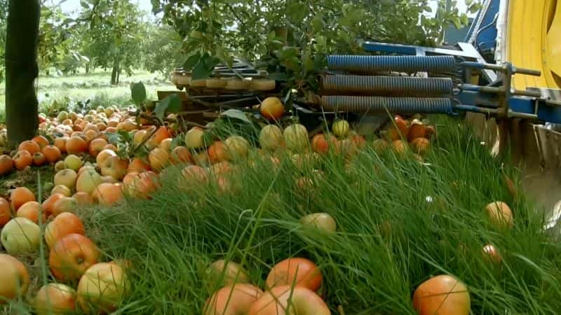 ¼Ƭڲƻ Inside the Factory: Cider1080P-Ļ/Ļ