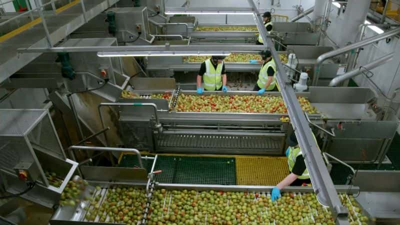 ¼Ƭڲƻ Inside the Factory: Cider1080P-Ļ/Ļ