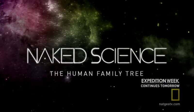 ¼Ƭף壩 The Human Family Tree (HD)Ļ/Ļ