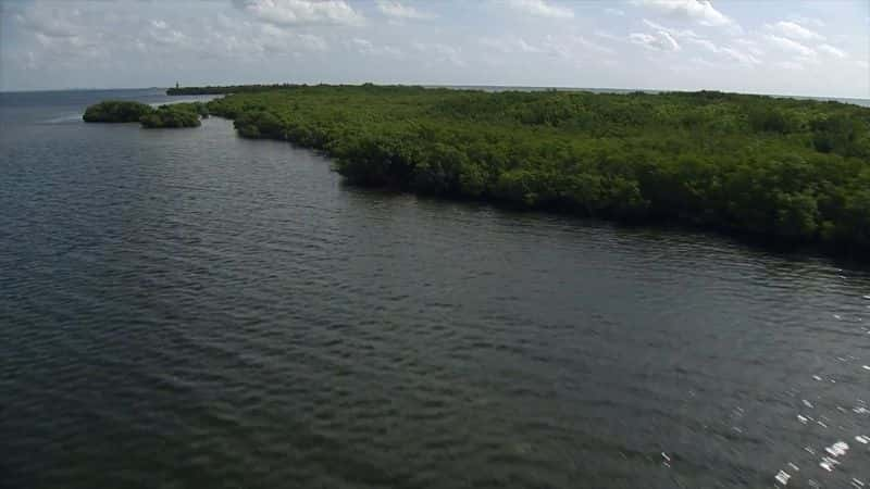 ¼Ƭ׷޺ū The Hunt for the Slave Ship Guerrero1080P-Ļ/Ļ