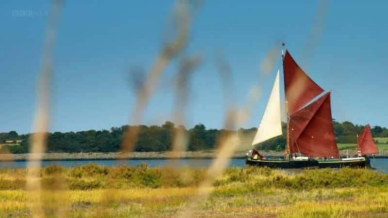 ¼Ƭ˹Ļ (BBC 1080p) The Joy of Essex (BBC 1080p)1080Pȫ1-Ļ/Ļ