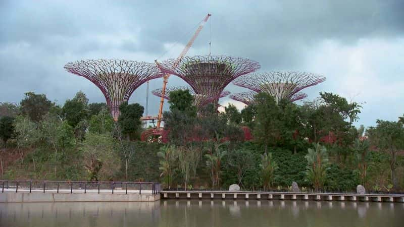 纪录片《巨型建筑：滨海湾花园 MegaStructures: Gardens by the Bay》[无字] [BT][DVD画质]资源下载