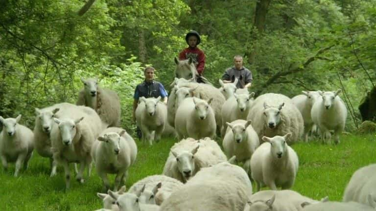 ¼ƬĲ׿ϵ Iolo's Brecon Beacons1080Pȫ4-Ļ/Ļ