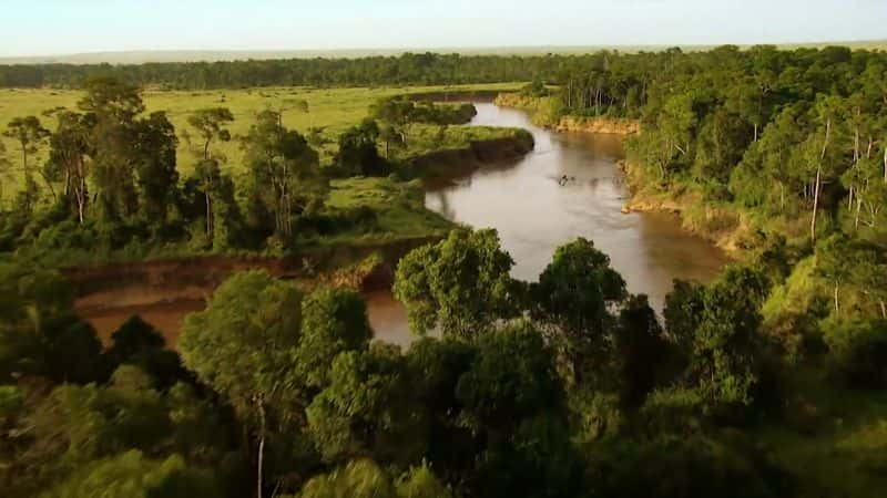 纪录片《马赛马拉鬣狗女王 Hyaena Queen of the Masai Mara》[无字][BT][720P]资源下载