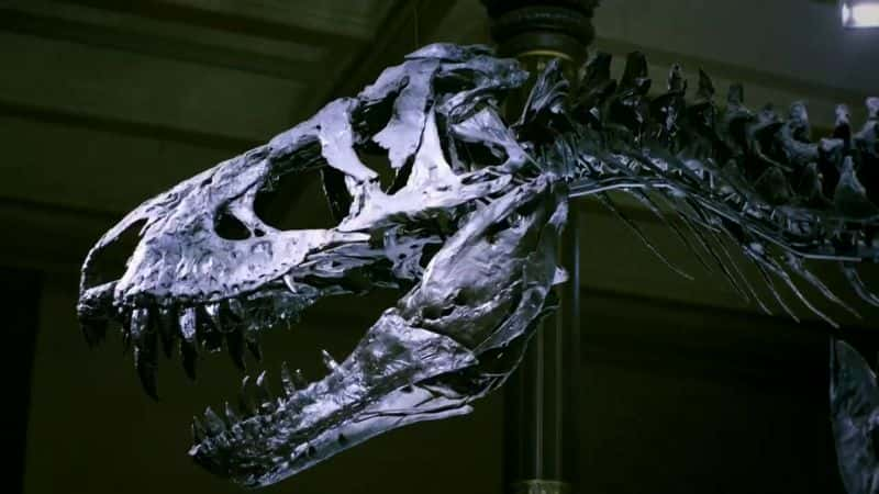 ¼Ƭıʣİ The Nature of Things: The Real T. Rex1080P-Ļ/Ļ