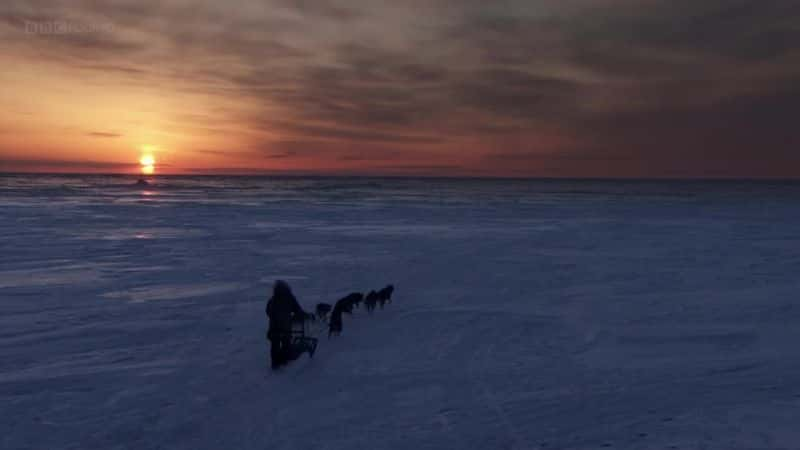 ¼Ƭ⣺ʷΰĹ Icebound: The Greatest Dog Story Ever ToldĻ/Ļ