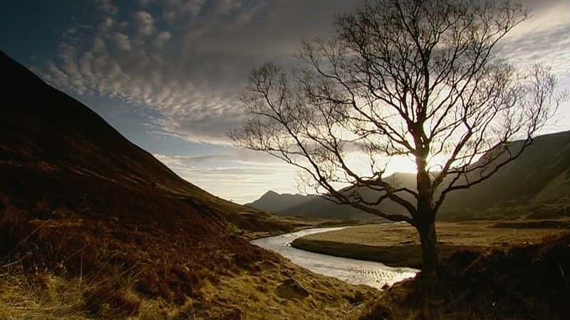 ¼ƬϿе¹ (BBC) Moose in the Glen (BBC)ȫ1-Ļ/Ļ