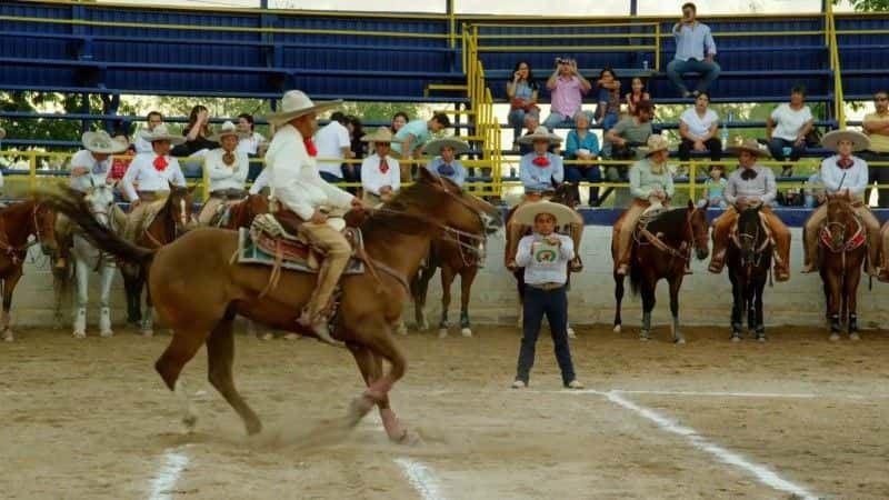 ¼Ƭī磺 Mexico: Earth's Festival of Lifeȫ3-Ļ/Ļ