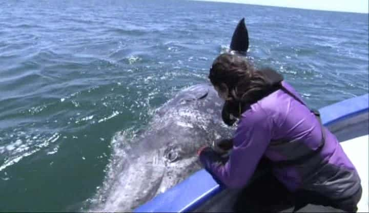 ¼Ƭ Monterey Bay, Californiaȫ1-Ļ/Ļ