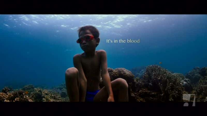 ¼Ƭܸ꣺ˮ Jago: A Life Underwater1080Pȫ1-Ļ/Ļ