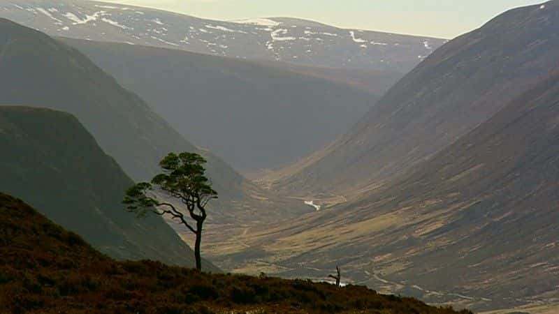 ¼ƬϿе¹ (BBC) Moose in the Glen (BBC)ȫ1-Ļ/Ļ