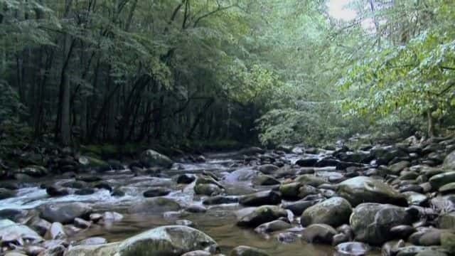 ¼Ƭҹ԰̽ϵУɽ National Parks Exploration Series: Great Smoky Mountains720Pȫ1-Ļ/Ļ