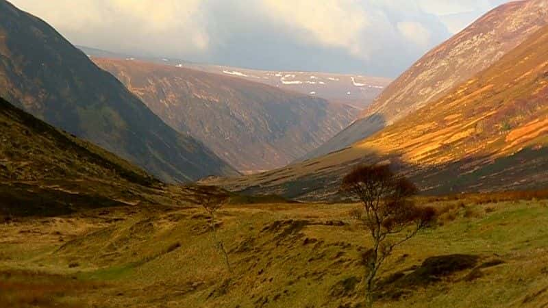 ¼ƬϿе¹ (BBC) Moose in the Glen (BBC)ȫ1-Ļ/Ļ