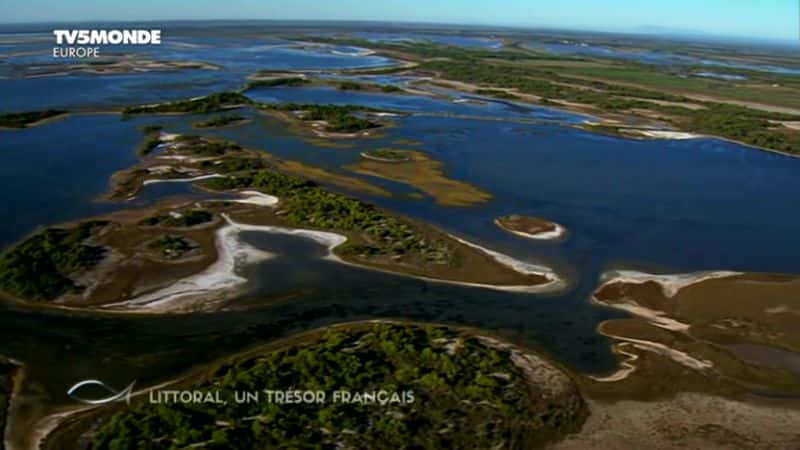 ¼ƬغUn Tresor Francais Littoral: Un Tresor Francaisȫ1-Ļ/Ļ