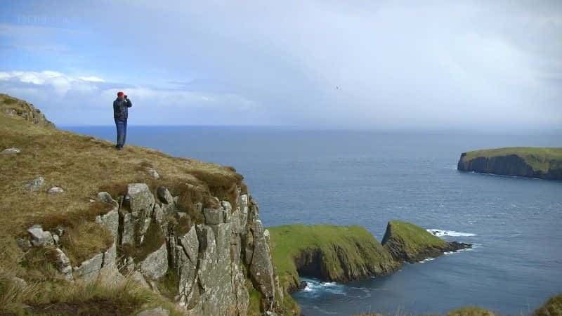 ¼Ƭĺ (BBC) The Last Seabird Summer (BBC)1080Pȫ2-Ļ/Ļ