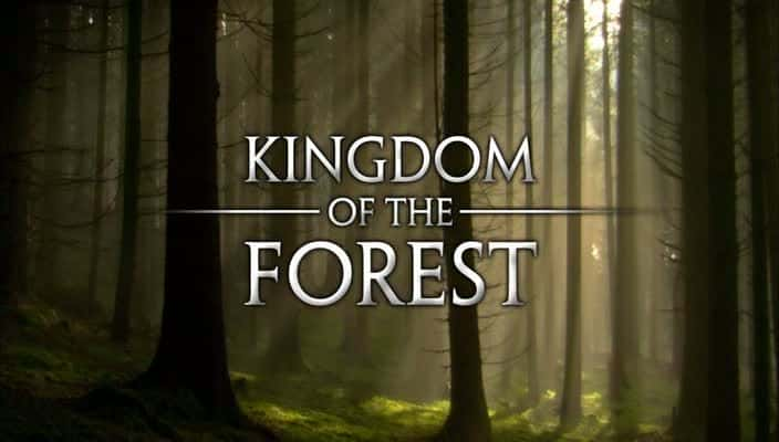 ¼Ƭɭ Kingdom of the ForestĻ/Ļ