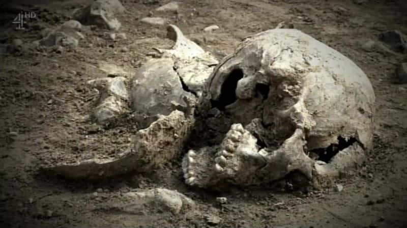 ¼Ƭ·ͷ֮ The Mystery of the Crossrail SkullsĻ/Ļ