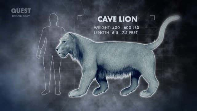 ¼ƬʱʧҰ Lost Beasts of the Ice Age1080Pȫ1-Ļ/Ļ