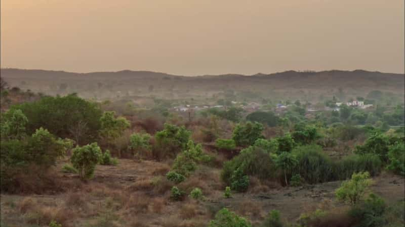 ¼Ƭӡȵʨ India's Wandering LionsĻ/Ļ