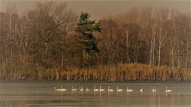 ¼Ƭħ Lake Magic1080P-Ļ/Ļ