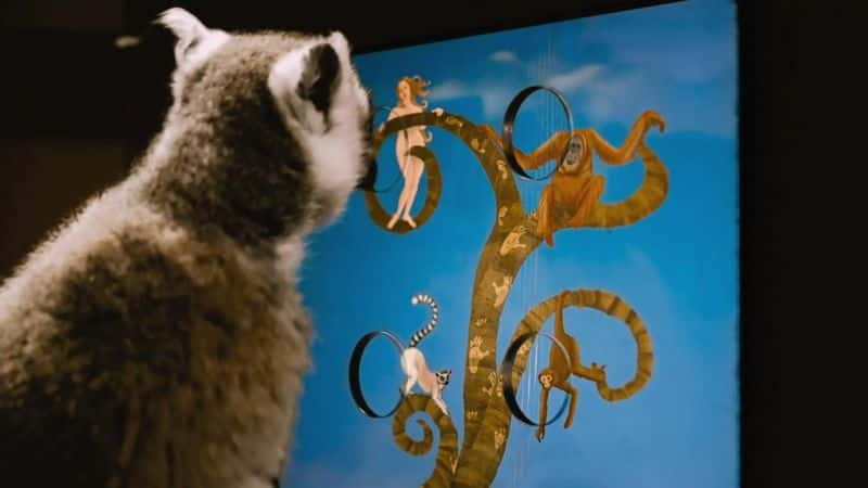 ¼Ƭﵺ˹ӣ⣩ Island of Lemurs: Madagascar (Blu-Ray)Ļ/Ļ