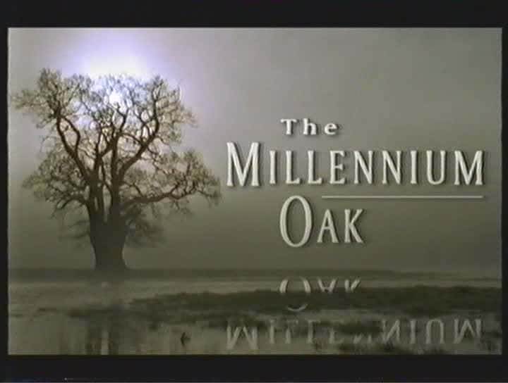 ¼Ƭǧ The Millenium OakĻ/Ļ