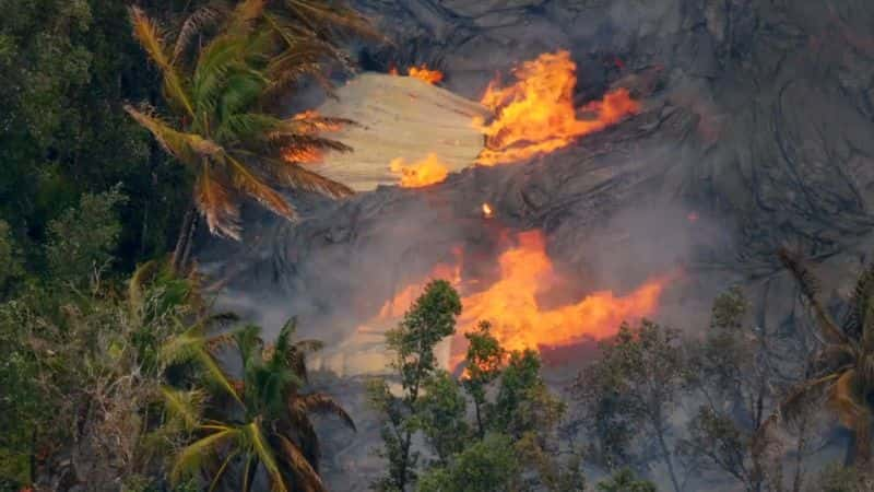 ¼ƬȻɽ Nature: Living Volcanoes1080P-Ļ/Ļ