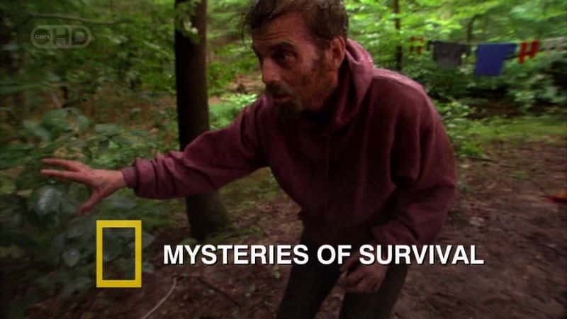 纪录片《生存之谜 Mysteries of Survival》[无字][BT][1080P]资源下载