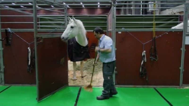 ¼ƬѧУڲ Inside the Spanish Riding SchoolĻ/Ļ