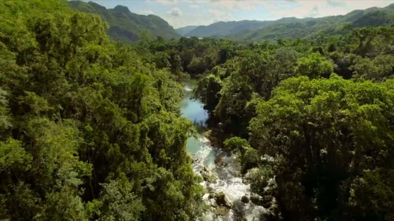 ¼ƬȻŰͿҰ Nature: Cubas Wild Revolution1080P-Ļ/Ļ