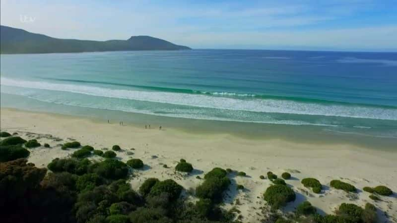 ¼Ƭ³˹ĴȺϵ 1 Martin Clunes: Islands of Australia Series 1Ļ/Ļ