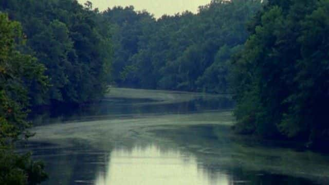 ¼Ƭءٶıɱ The Murder of Emmett Till1080Pȫ1-Ļ/Ļ