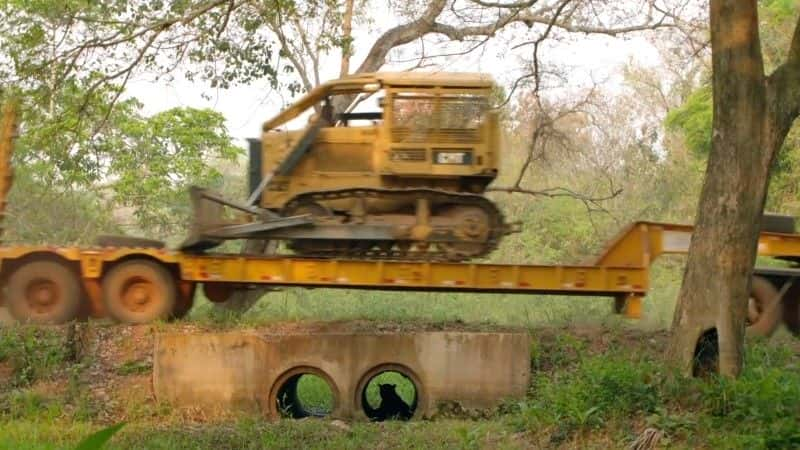 纪录片《美洲虎队：巴西的超级猫队 Jaguars: Brazil's Super Cats》[无字][BT][720P]资源下载