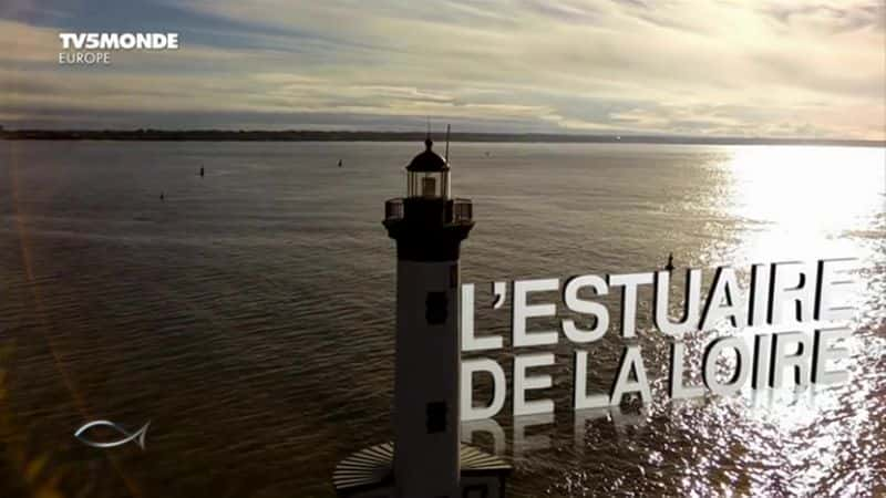 ¼Ƭ¬߶ӿ L'estuaire de la Loireȫ1-Ļ/Ļ