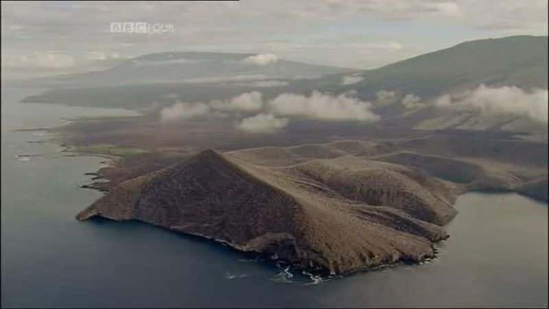 ¼Ƭ¶κͼ˹Ⱥ֮ս Lonesome George and the Battle for GalapagosĻ/Ļ