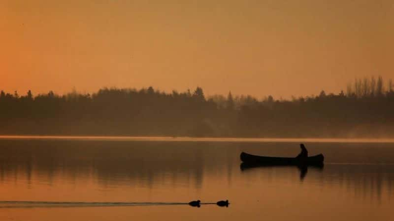 ¼ƬĿҰǿũ Ireland's Wild River: The Mighty Shannonȫ1-Ļ/Ļ