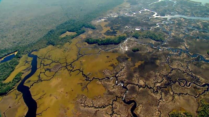 ¼Ƭֵħ The Magic of Mangroves1080P-Ļ/Ļ