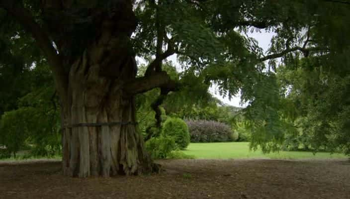 纪录片《邱园：改变世界的花园 Kew: The Garden that Changed the World》[无字] [BT][DVD画质]资源下载