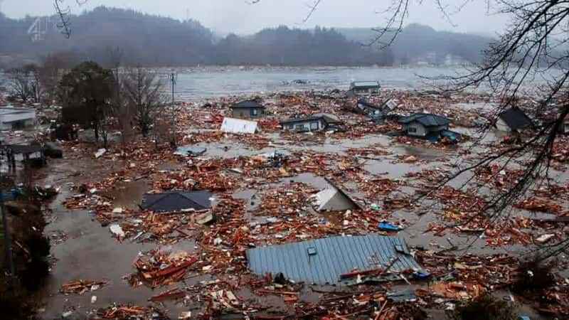 ¼ƬձХͷ¼ Japans Tsunami: Caught on Camera1080P-Ļ/Ļ